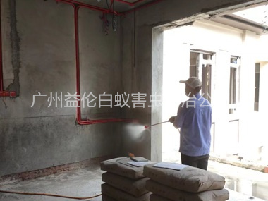 竹料装修预防白蚁工程